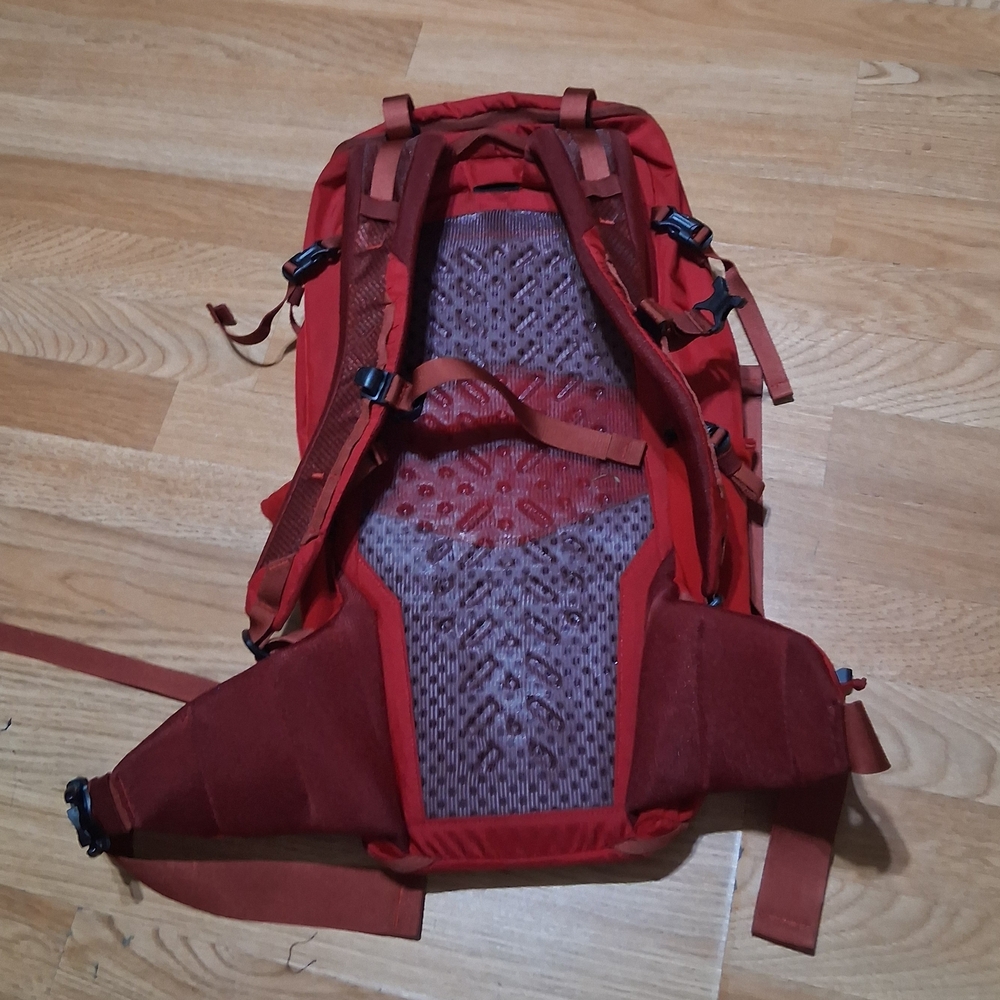 Patagonia Red Men's Daypack Backpack - Picture 4 of 8